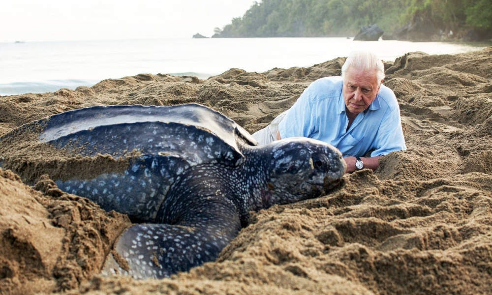 Blue Planet II (S1E7)